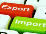Импортозамещение — замещение импорта товарами, произведёнными отечественными российскими производителями, то есть внутри России
